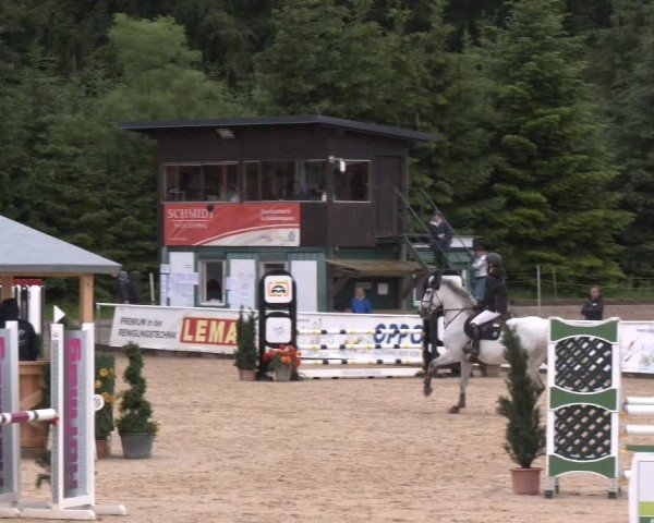 Reitturnier Ranshofen - Braunau am Inn 2024