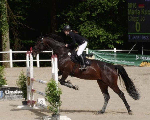 Reitturnier Losheim am See 2024