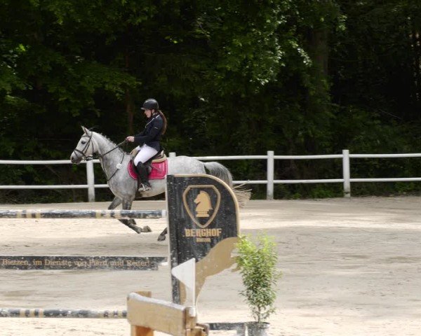 Reitturnier Losheim am See 2024
