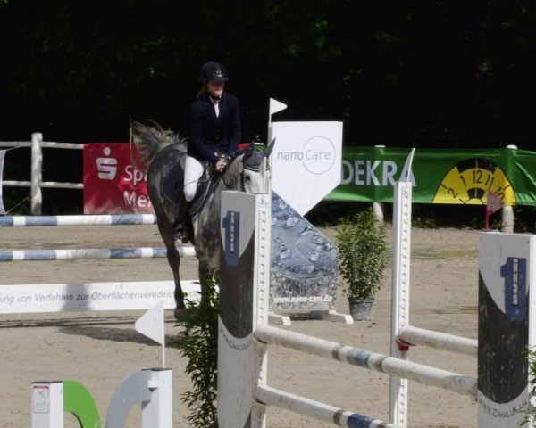 Reitturnier Losheim am See 2024
