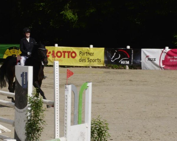 Reitturnier Losheim am See 2024