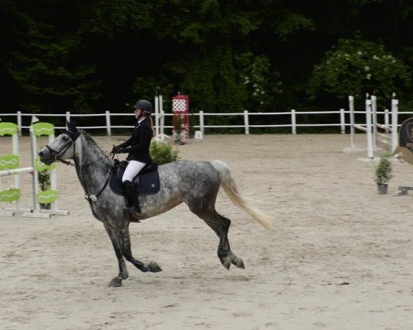 Reitturnier Losheim am See 2024