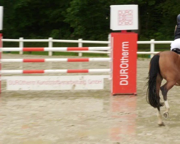 Reitturnier Nordstetten- Horb 2024