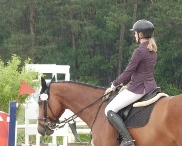 Reitturnier Nordstetten- Horb 2024