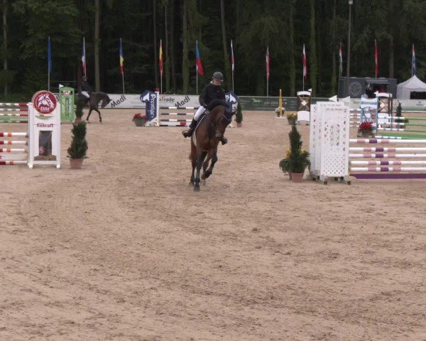 Reitturnier Ranshofen - Braunau am Inn 2024