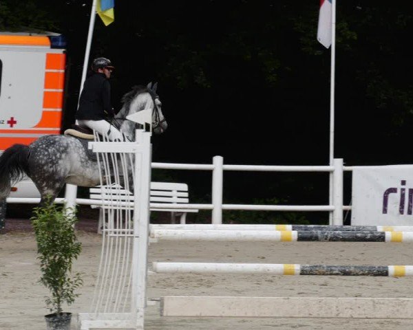 Reitturnier Losheim am See 2024