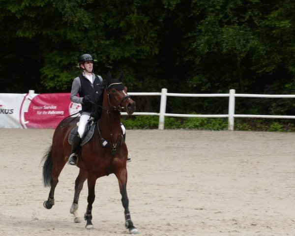 Reitturnier Losheim am See 2024