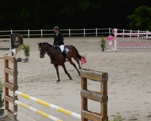 Reitturnier Losheim am See 2024
