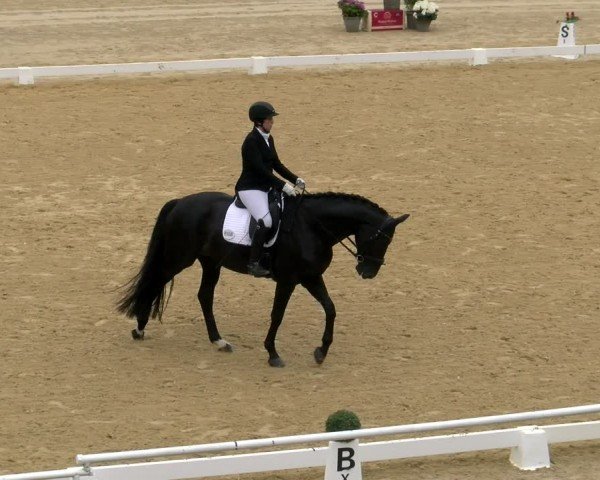 FEI internationales Paralympisches Turnier Stadl-Paura 2024
