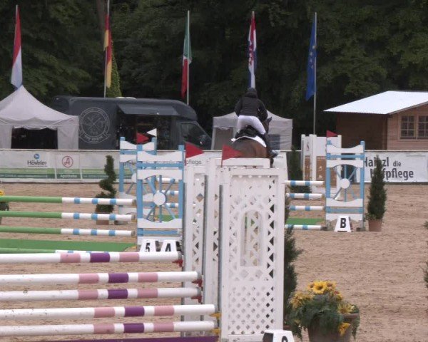 Reitturnier Ranshofen - Braunau am Inn 2024