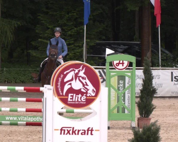 Reitturnier Ranshofen - Braunau am Inn 2024