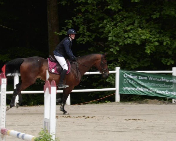 Reitturnier Losheim am See 2024