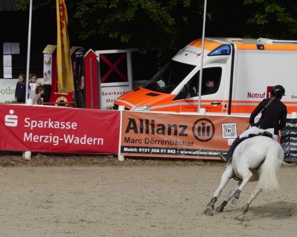 Reitturnier Losheim am See 2024