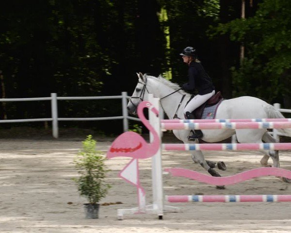 Reitturnier Losheim am See 2024