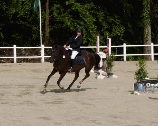 Reitturnier Losheim am See 2024