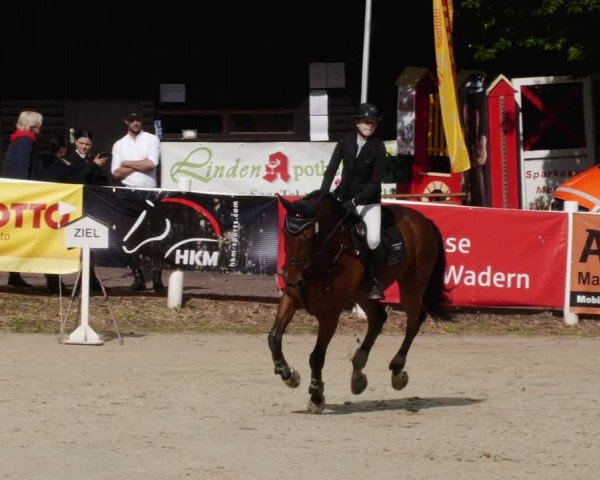 Reitturnier Losheim am See 2024