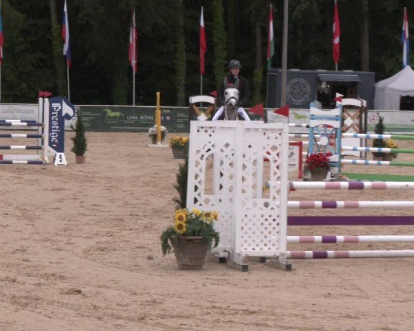 Reitturnier Ranshofen - Braunau am Inn 2024