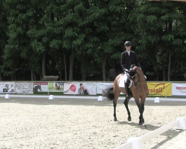 Reitturnier Ruhlsdorf 2024