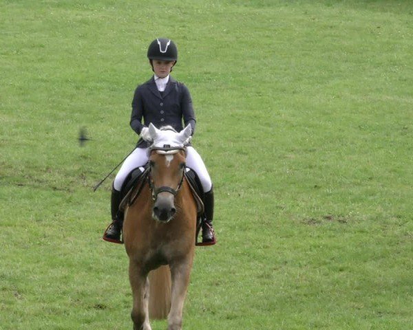 Jezdecký turnaj Wolfsburger Klassiker 2024