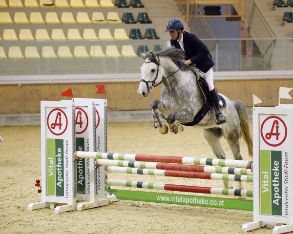 jumper Cachas (Holsteiner, 2015, from Cachas)