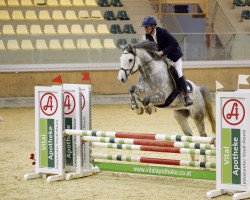 jumper Cachas (Holsteiner, 2015, from Cachas)