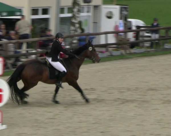 Reitturnier Kirchhellen/Stall Dieckmann 2024