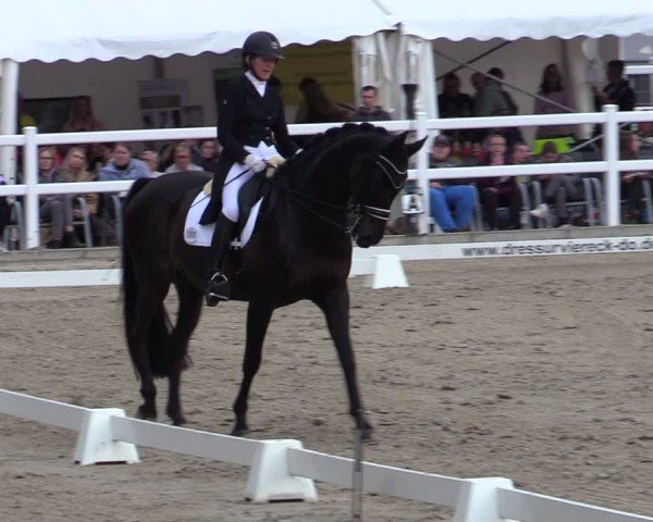 Reitturnier Dortmund-Somborn 2024