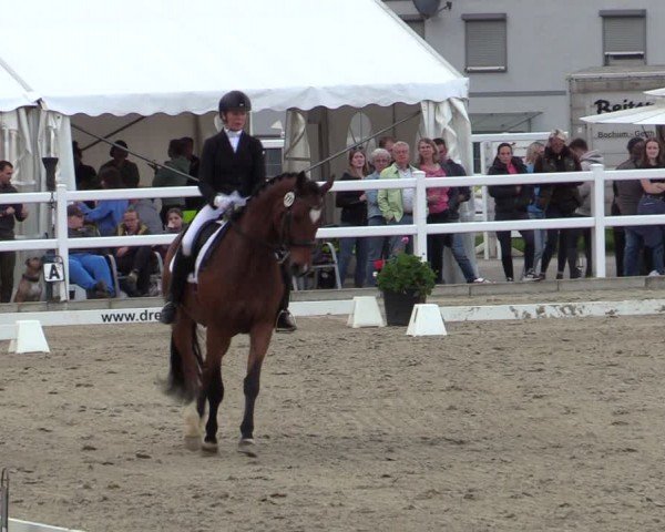 Reitturnier Dortmund-Somborn 2024