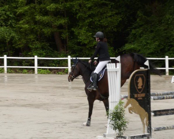 Reitturnier Losheim am See 2024