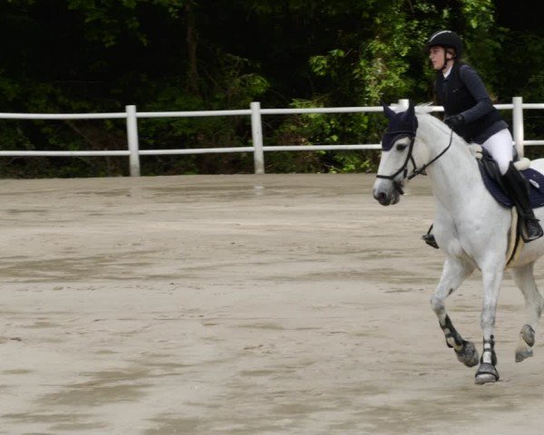 Reitturnier Losheim am See 2024