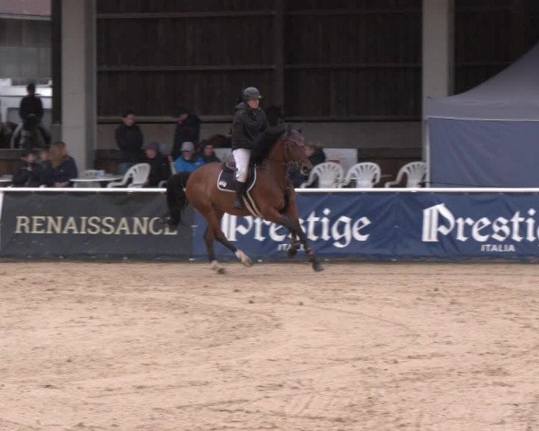 Reitturnier Ranshofen - Braunau am Inn 2024