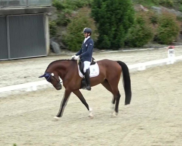 FEI Reitturnier St. Margarethen 2024