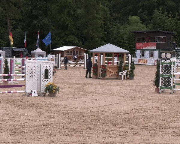 Reitturnier Ranshofen - Braunau am Inn 2024