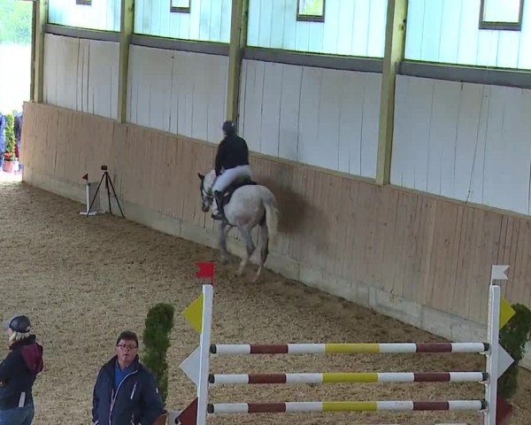 Reitturnier Münster/Ndb. 2024