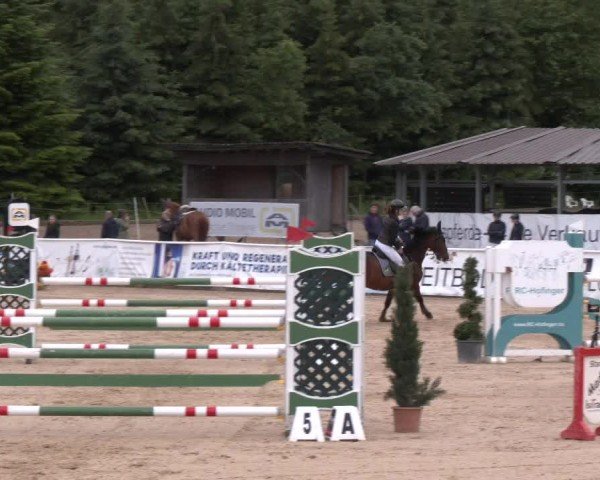 Reitturnier Ranshofen - Braunau am Inn 2024