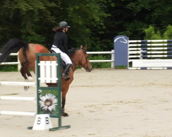 Reitturnier Nordstetten- Horb 2024