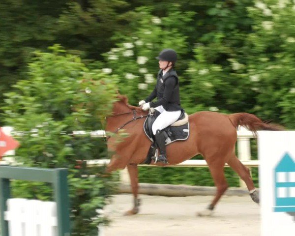 Reitturnier Nordstetten- Horb 2024