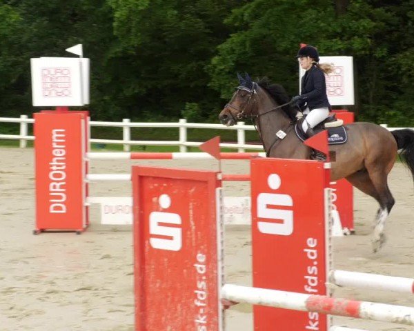 Reitturnier Nordstetten- Horb 2024