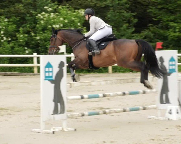 Reitturnier Nordstetten- Horb 2024