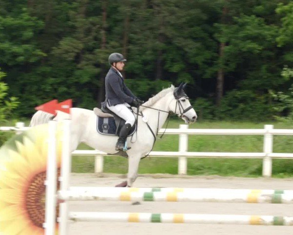 Reitturnier Nordstetten- Horb 2024