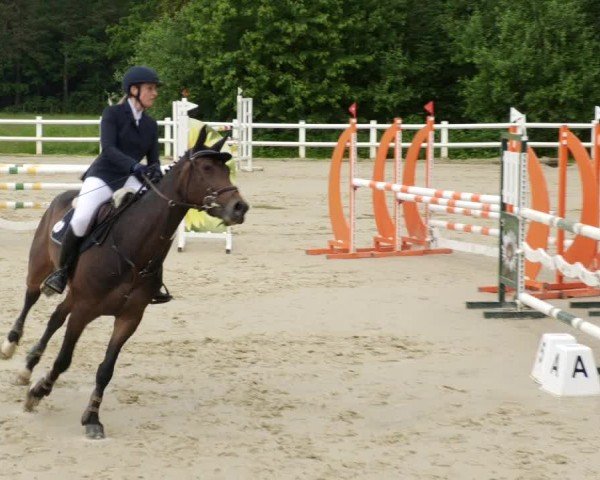 Reitturnier Nordstetten- Horb 2024