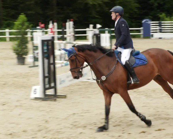 Reitturnier Nordstetten- Horb 2024