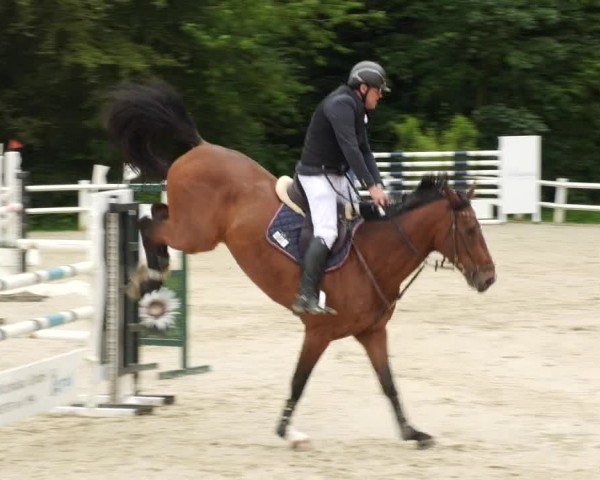 Reitturnier Nordstetten- Horb 2024