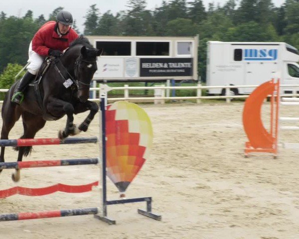 Reitturnier Nordstetten- Horb 2024