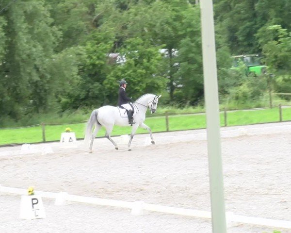 Reitturnier Gossau 2024