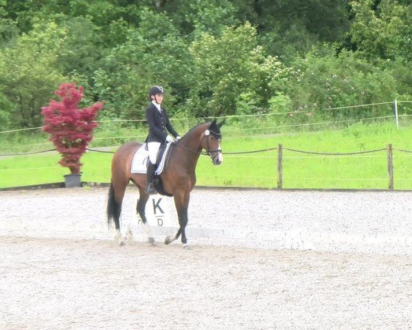 Reitturnier Gossau 2024