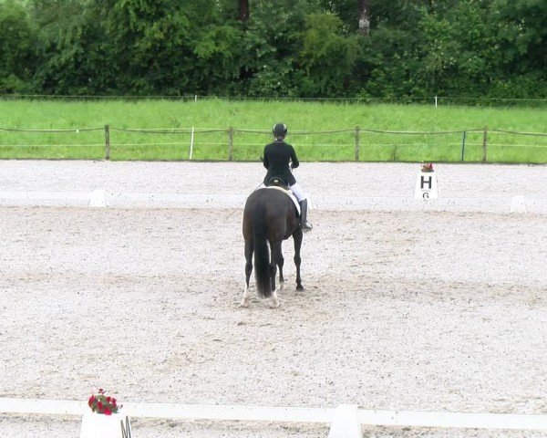 Reitturnier Gossau 2024