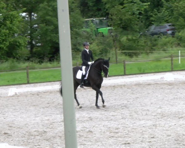 Reitturnier Gossau 2024