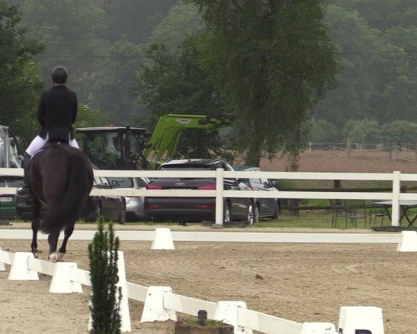 Reitturnier Münster-Angelmodde 2024