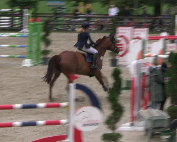 Reitturnier Kirchhellen/Stall Dieckmann 2024
